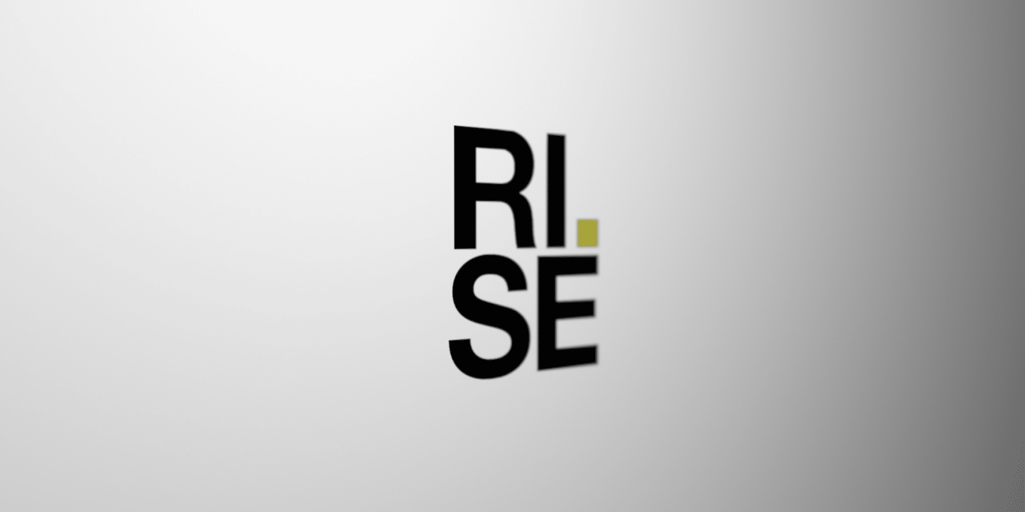 RISE Accesses VEGA